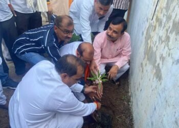 विधायक अरविंद पटैरिया ने किया वृक्षारोपण