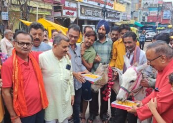 गधा और गधईया का धूम धाम से विवाह