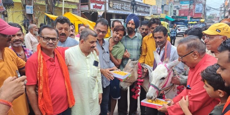 गधा और गधईया का धूम धाम से विवाह