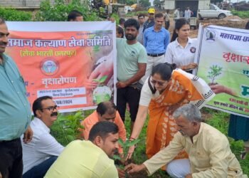 एमसीबीयू के गौरैया स्थित नए परिसर में सेवा भारती एवं विश्वविद्यालय द्वारा किया गया वृक्षारोपण