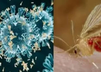 MP में नशे का होगा खात्मा! सरकार चलाएगी नशा मुक्ति का महाअभियान