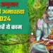 हरियाली अमावस पर राशि अनुसार करें शिव पूजा