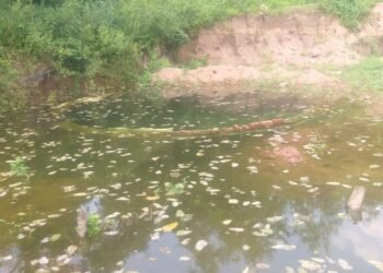 सार्वजनिक कूप निर्माण के नाम पर लाखों का किया भ्रष्टाचार